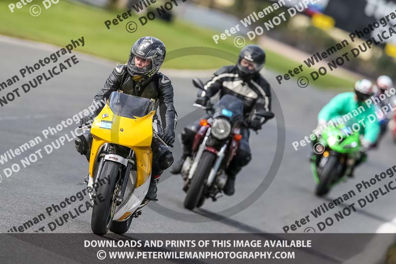 Oulton Park 21st March 2020;PJ Motorsport Photography 2020;anglesey;brands hatch;cadwell park;croft;donington park;enduro digital images;event digital images;eventdigitalimages;mallory;no limits;oulton park;peter wileman photography;racing digital images;silverstone;snetterton;trackday digital images;trackday photos;vmcc banbury run;welsh 2 day enduro